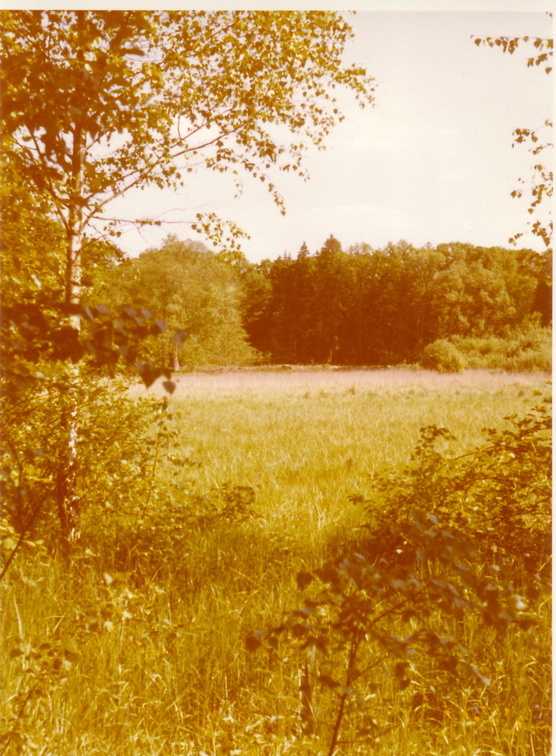 nahe Waldteich am Ramischauerwald